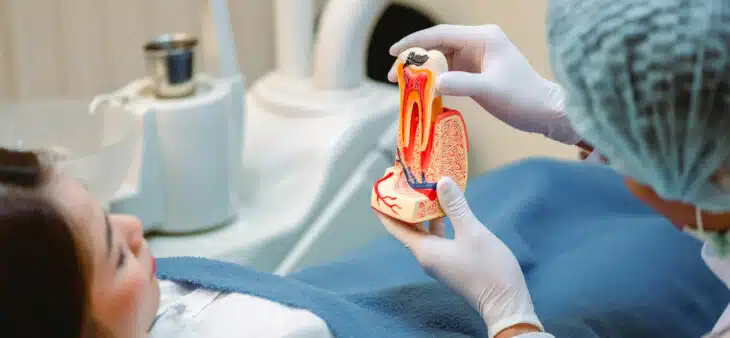 Dentist showing patient model of tooth